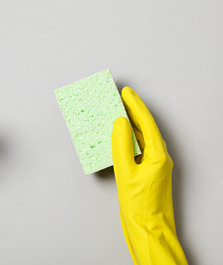 Pureandclean Team in Essen